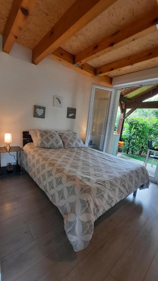 Promo 2-9Juin Gite 6 Personnes Toulouse 7Mn Du Metro 4 Lits Terrasses Gragnague Exterior foto